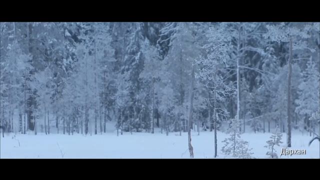 Сахалыы клиптар. CУПЕР ИСПОЛНЕНИЕ. Железный голос. Дархан. смотреть онлайн