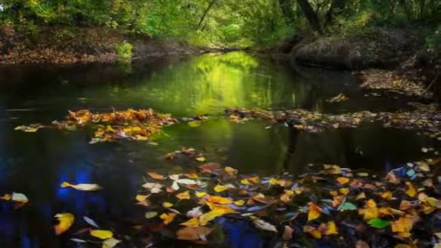 Максим Чапов - Маленький принц смотреть онлайн