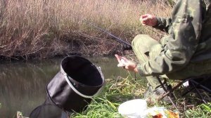 Рыбалка в Сибири в тайге на реке. Ловля чебака на поплавочную удочку. Белый камень, Кара-Чумыш