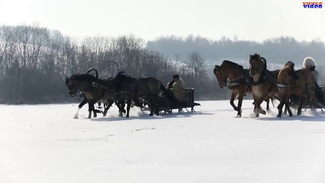 Светлана Синченко "Станет нашей Марьюшка" смотреть онлайн
