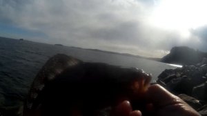 Морская рыбалка в Владивостоке