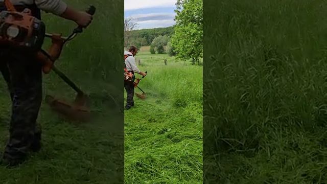 ??????Husqvarna 555 Rxt??????