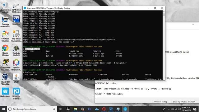 Proyecto Docker Networking (MySQL con C++). смотреть онлайн