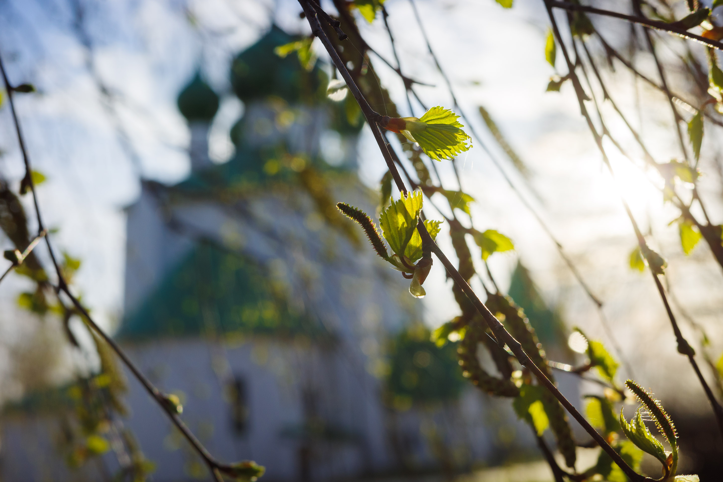 Весна на экране: апрель смотреть онлайн