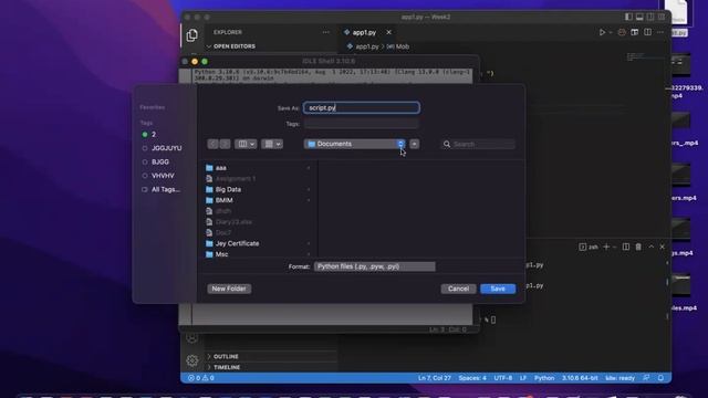 Input function in Python using VS code & Python IDLE смотреть онлайн
