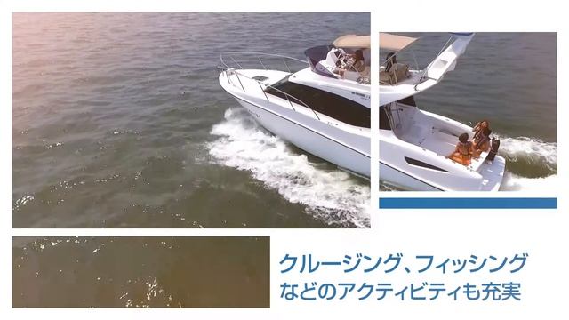 PONAM 31 PV смотреть онлайн