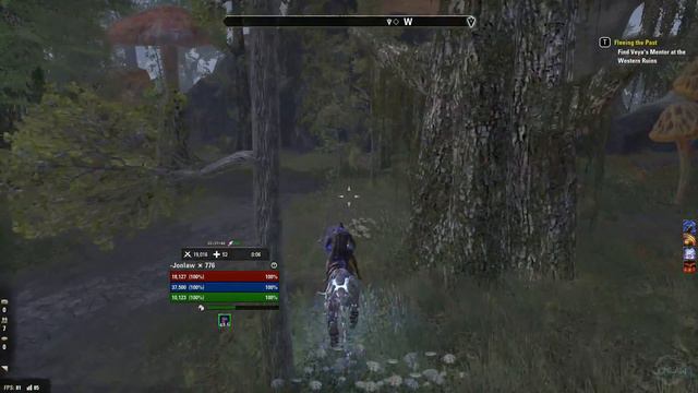 The Elder Scrolls Online Morrowind Let's Play Part 17 - Fleeing the Past смотреть онлайн
