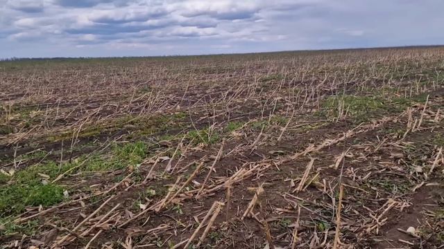 Страшно, но в поле работать вышли! смотреть онлайн