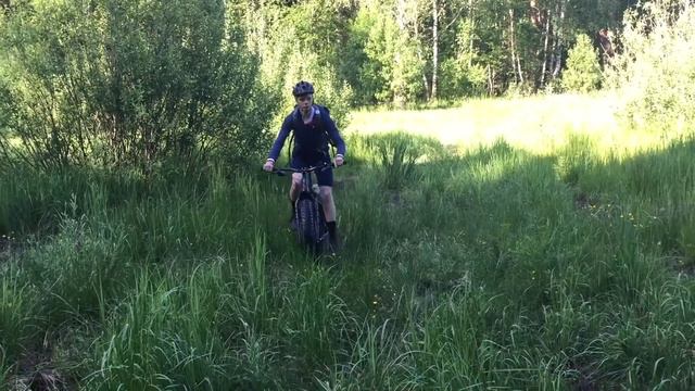 Сравнение того, чего нельзя сравнивать.