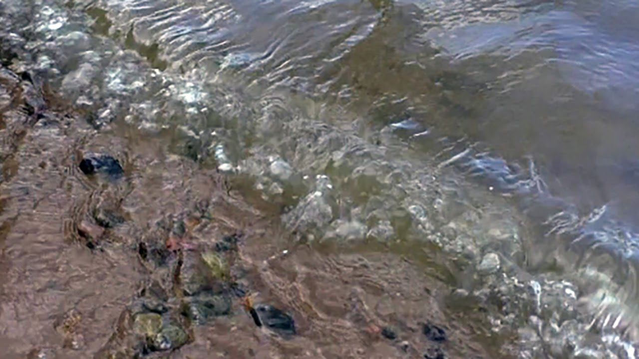 The soothing sounds of the waves, Insomnia, Relax, Meditation, Study, Spa, Sleep смотреть онлайн