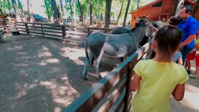 Feldman Ecopark. Kharkov. Экопарк Фельдмана в Харькове.