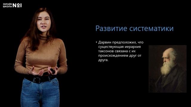 Многообразие организмов как результат эволюции. Видеоурок 14. Биология 11 класс смотреть онлайн