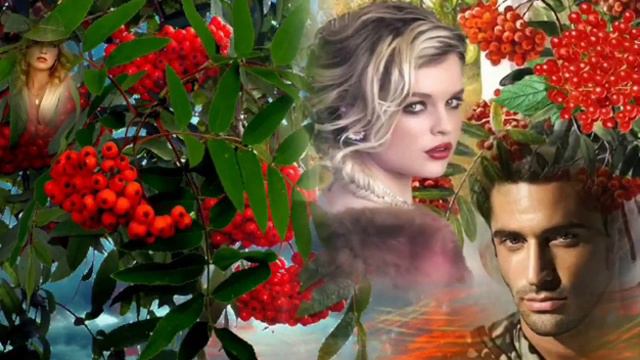 КАЛИНА КРАСНАЯ, КАЛИНА ВЫЗРЕЛА смотреть онлайн