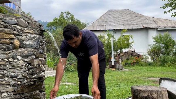 HARVESTING PORTULACA FOR HEALTHY LIFE | UNIQUE GREENS RECIPE | RELAXING VILLAGE FAMILY