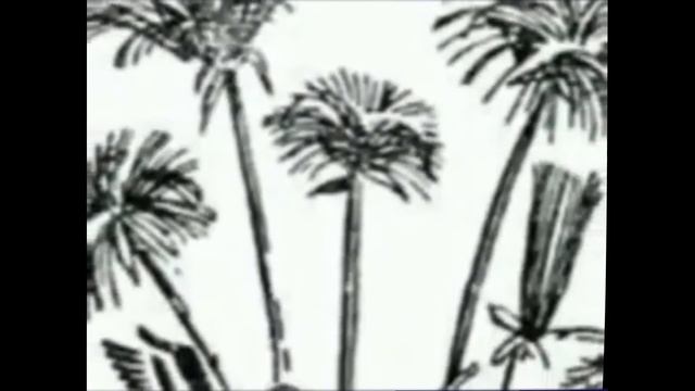 История книги_Кировская библиотека-филиал № 3 им. Ф.П. Кухтина смотреть онлайн