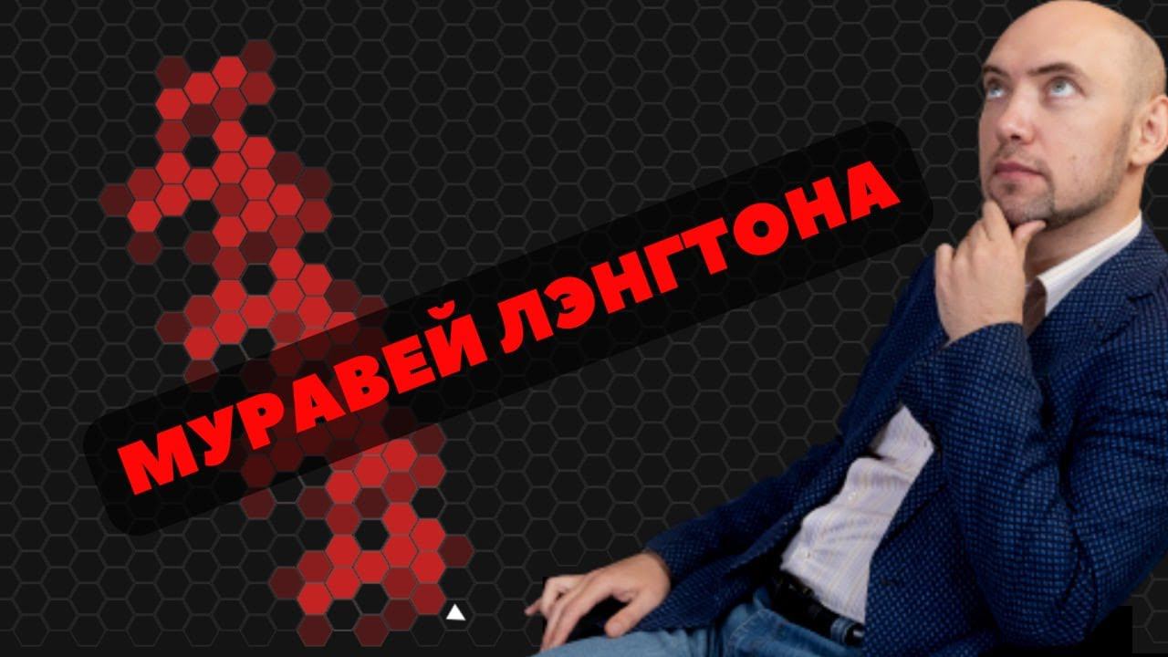 Кто такой муравей Лэнгтона? Душкин объяснит смотреть онлайн