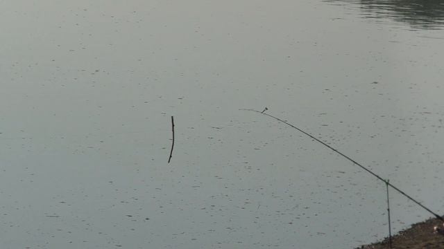 Ловись рыбка большая и маленькая - сказал заветные слова "что-то не клюёт" и началось смотреть онлайн