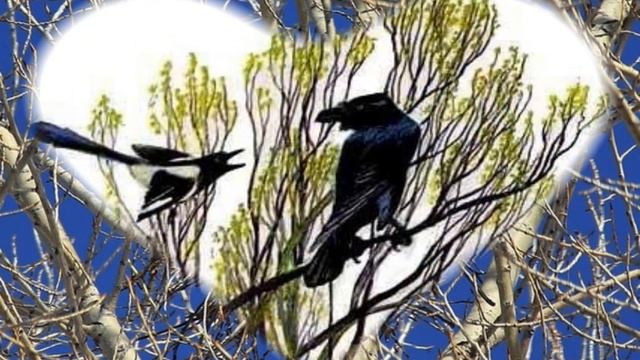 Птичий дом(басня) смотреть онлайн