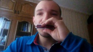 Какую губную гармошку купить для начала????