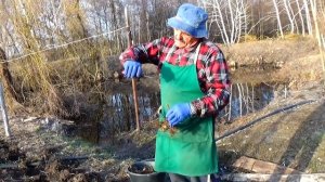 Малину весной мы сажаем только так, и Вам советуем!