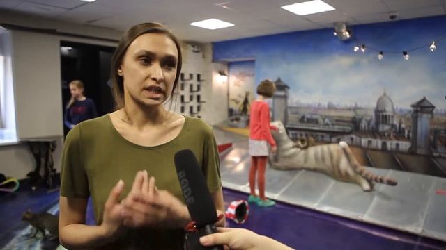 Репортаж. Арт-кафе "Республика кошек" смотреть онлайн