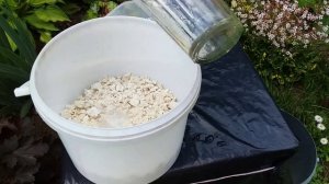 КАК сделать ДРОЖЖЕВОЙ настой для ТОМАТОВ и других культур