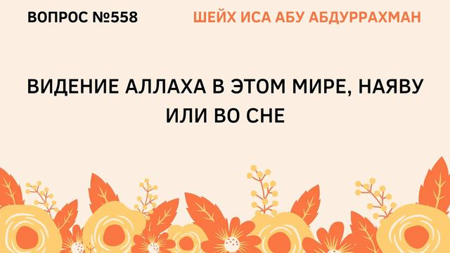 558. Видение Аллаха в этом мире || Иса Абу Абдуррахман смотреть онлайн