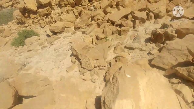 Путешествие в крепость Масада (часть 1) смотреть онлайн