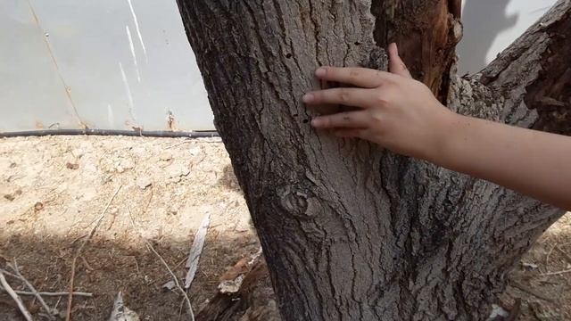 Как Сделать Полезное