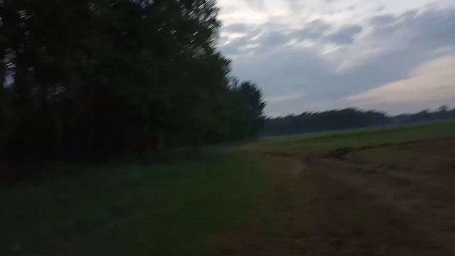 Кто куда , а мы проверяем ловушки на пчёл!!!)))) смотреть онлайн