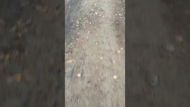 23.10.2021 прогулка после шторма | Западный Котлин смотреть онлайн