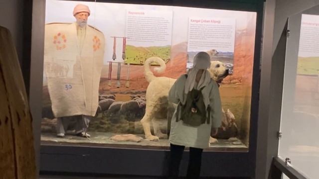 Sivas Vlog| Sivas’ta Gezilecek Yerler, Sivas’ta Neler Yaptım??