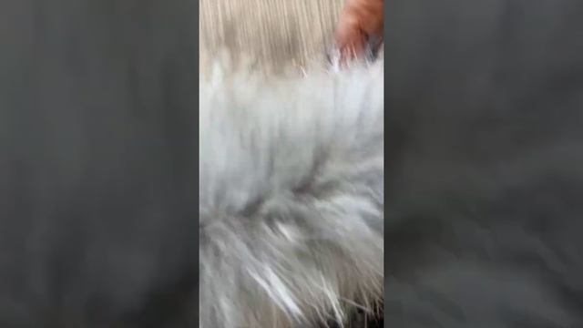 Обзор комбинезона для девочки ЗС-940 и ЗС-940/1