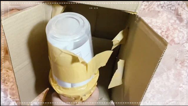 Unbox!! Syngonium milk confetti แกะกล่องเจอแบบนี้จะรอดมั้ย?? | ลอง leaf EP.3 смотреть онлайн