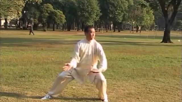 Тайцзицюань (стиль Чэнь, 9 форм, мастер Ли Ян) смотреть онлайн