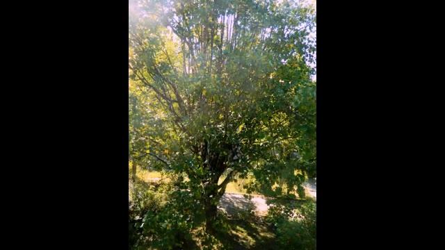 Морская даль смотреть онлайн
