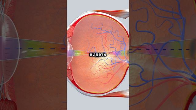 #Shorts Загадки здоровья_ Топ-5 фактов!