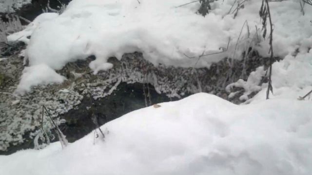 Самая вкусная вода на свете смотреть онлайн