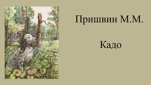 Пришвин Михаил "Кадо" смотреть онлайн