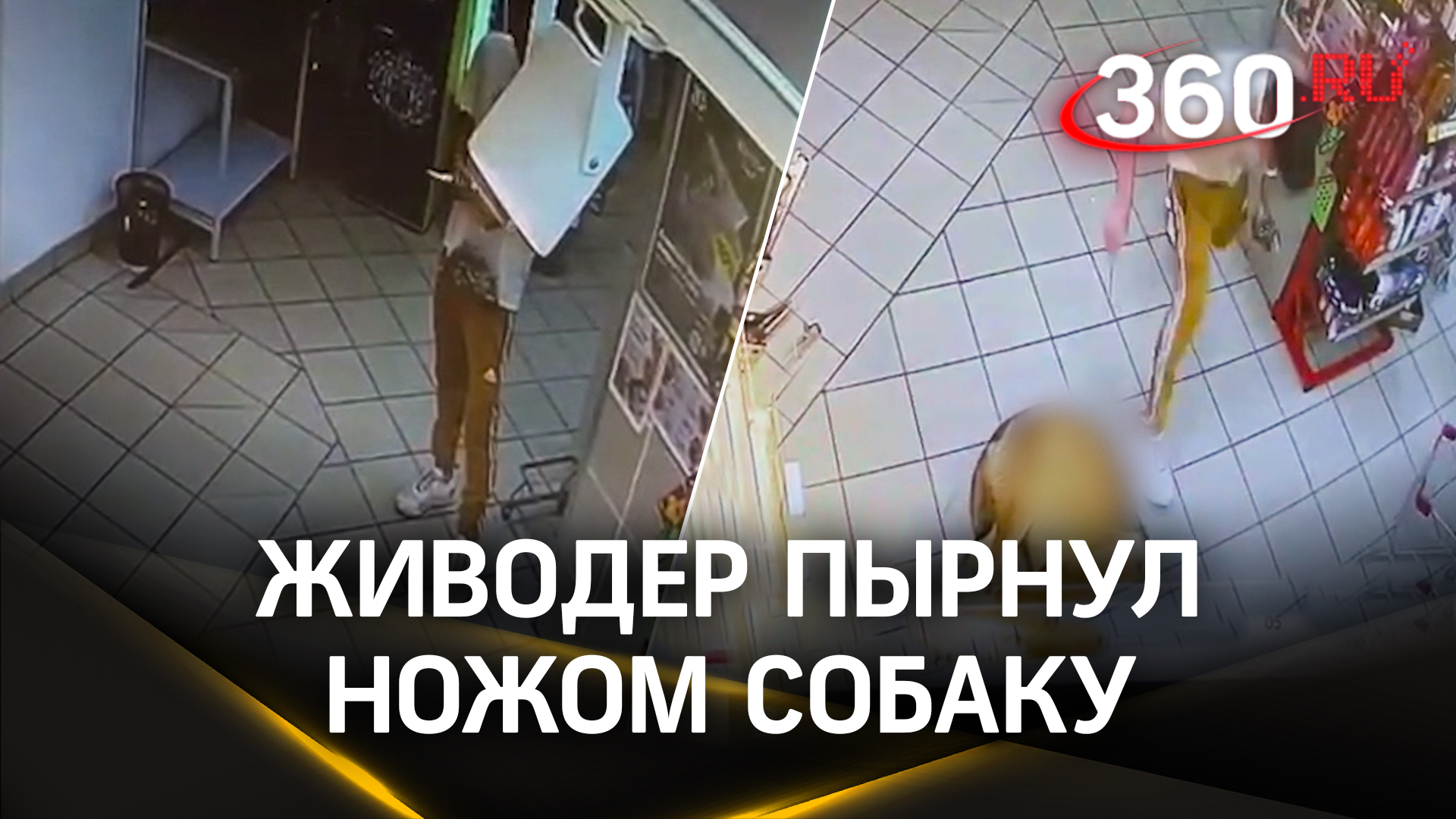 Видео: живодер режет собаку в Химках и кошмарит жителей смотреть онлайн
