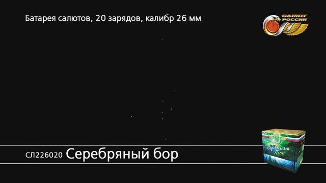 СЛ226020 Серебряный бор смотреть онлайн