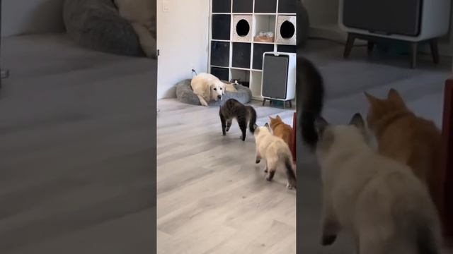 Тыгыдык смотреть онлайн