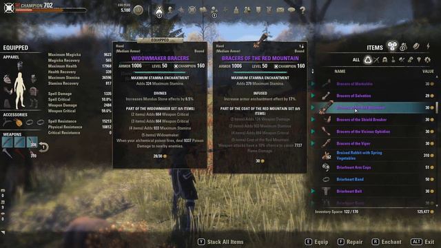 ESO - Widow's Sting - Classless PvP Setup смотреть онлайн