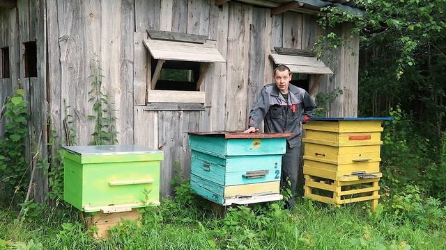 ПОМОГИТЕ ПОЙМАТЬ ВОРА! смотреть онлайн