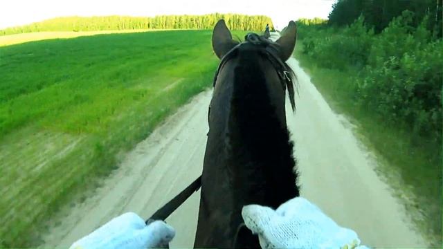 Horse Riding (GoPro Hero4 Session) / Экстремальная Верховая Езда смотреть онлайн