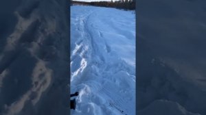 открытие мотосезона 2021 на regulmoto sk150-6?⚔️☝️