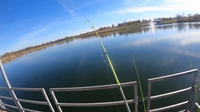 These Fish WOULD NOT STOP Biting!!!