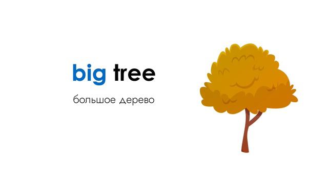 Как описать размер объекта на английском: прилагательные и примеры предложений смотреть онлайн