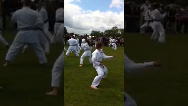 Tekki Shodan circle demonstration смотреть онлайн