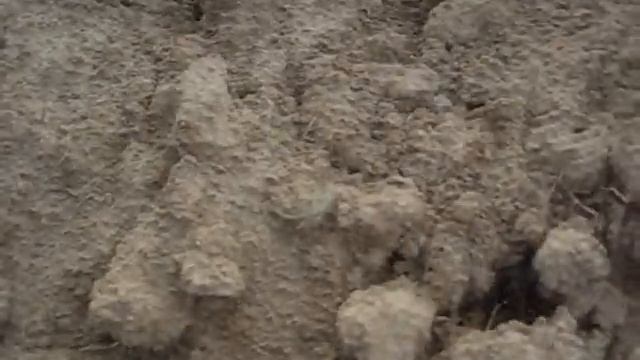 Курочка по зёрнышку клюёт смотреть онлайн